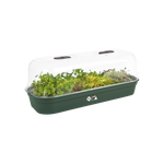 green basics grow tray l leaf green